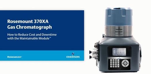 The Maintainable Module of Rosemount 370XA Gas Chromatograph 