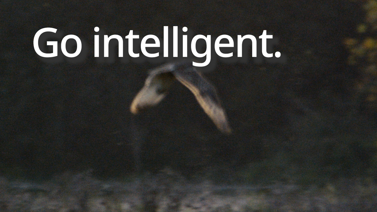 Fallback image
