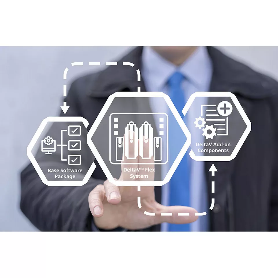 DeltaV Flex 系统