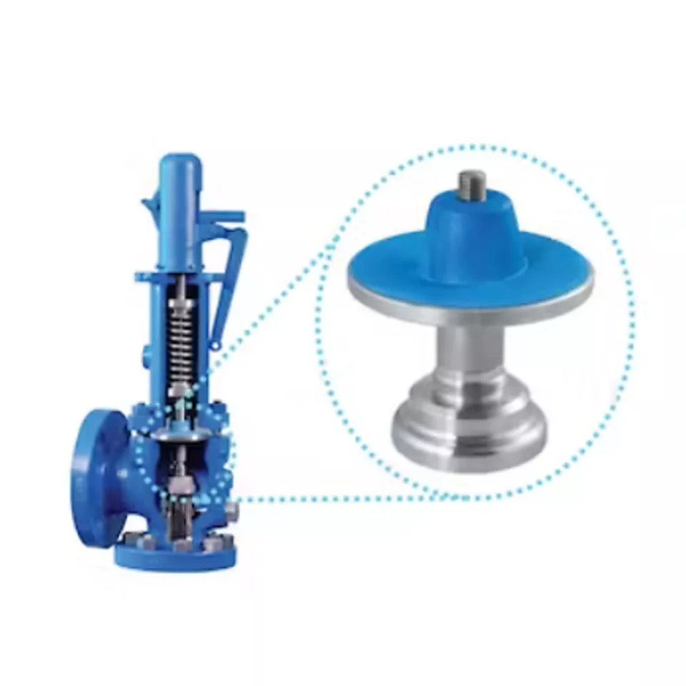 解决安全阀应用中的波纹管故障