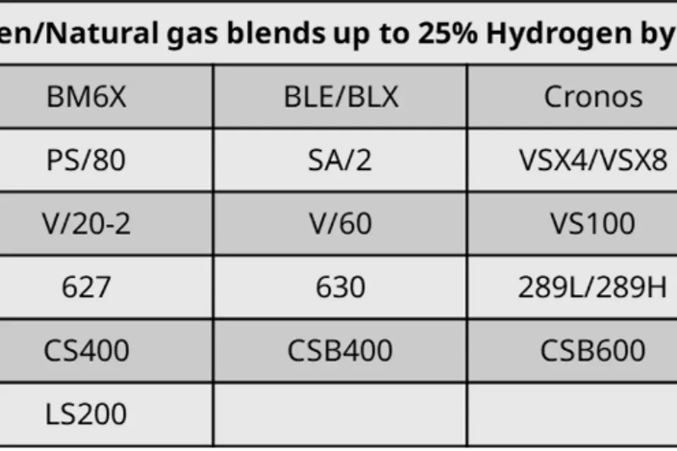 利用艾默生的技术资源帮助客户实现可持续发展