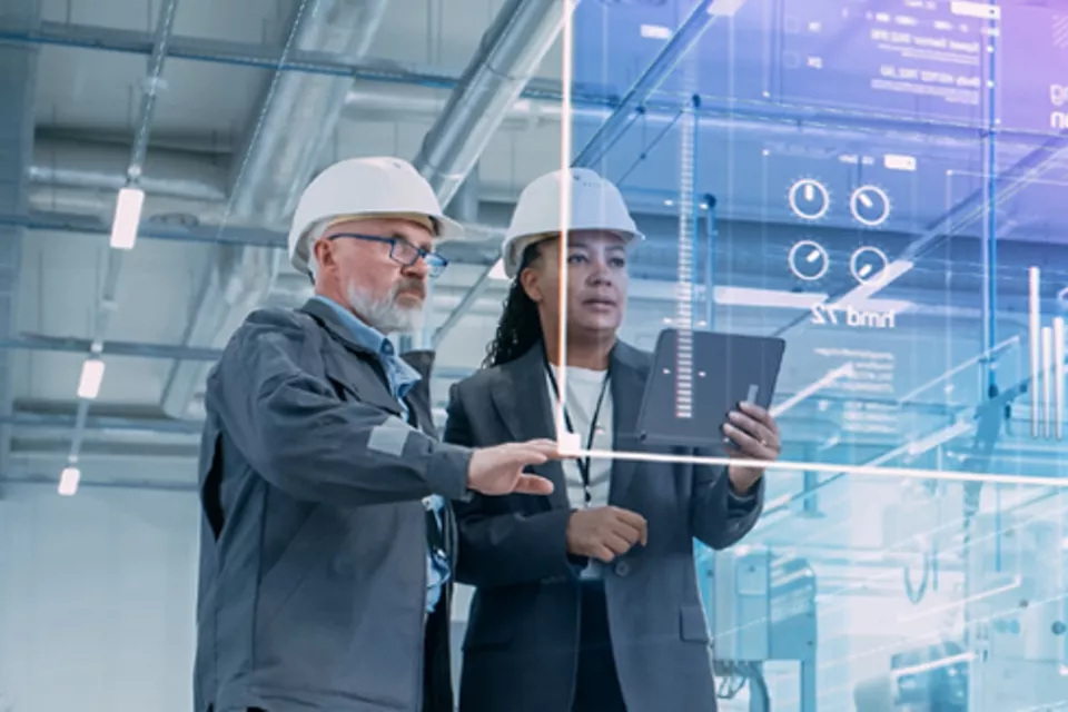 DeltaV™ DCS 终端安全 