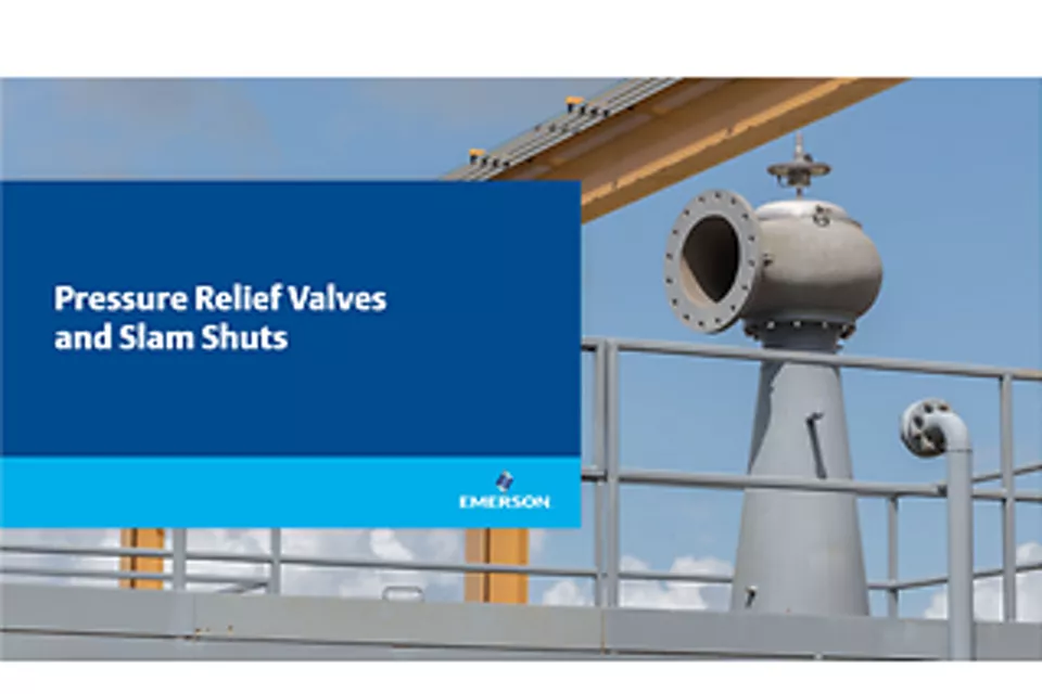 安全选择标准包括：选择瞬时动作开关或调节阀、自力式或先导式，以及 ASME 规范认证标记的优势