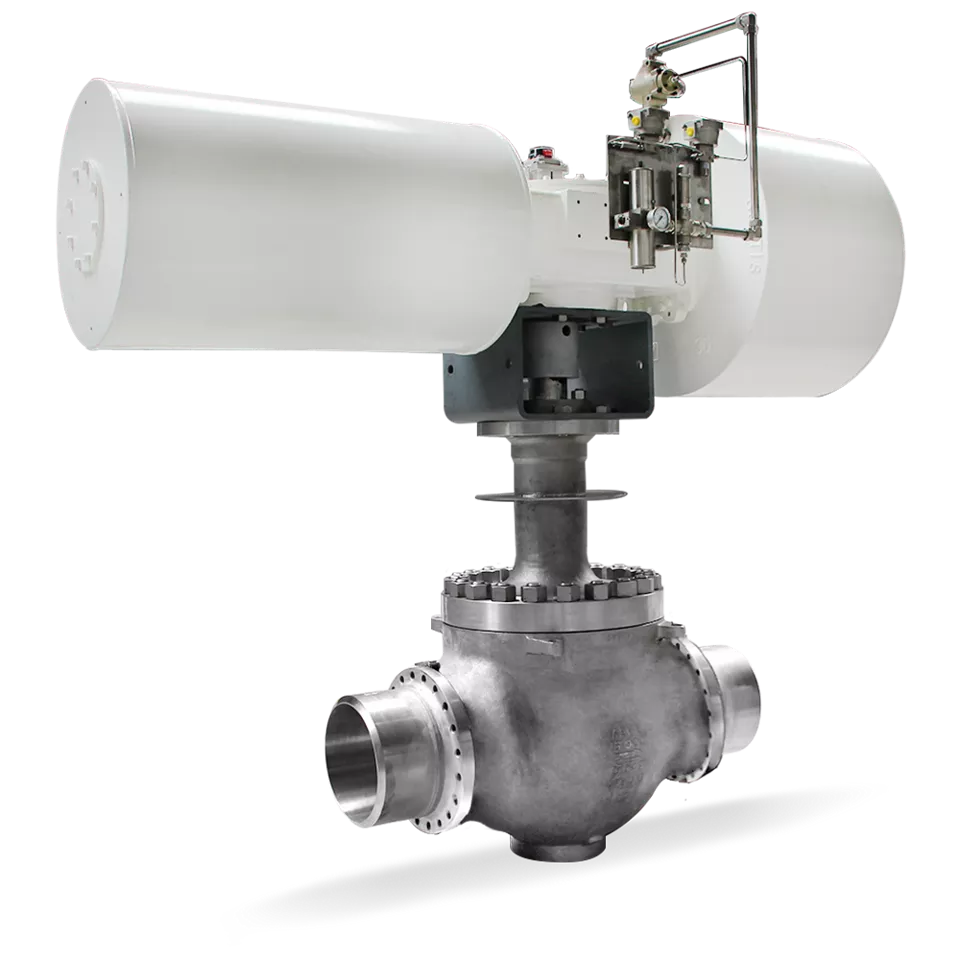 AEV ²XC 低温 C 型球阀