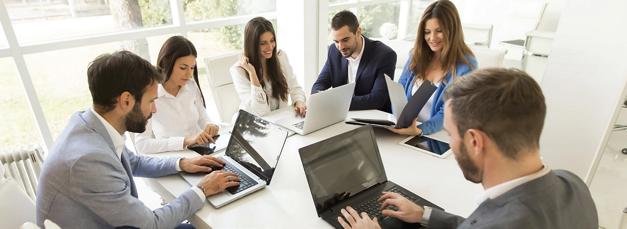 DeltaV™ Alliance Product Program Brochure