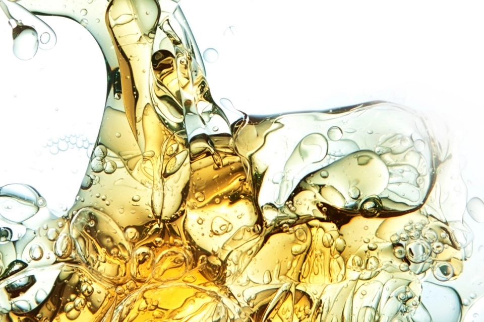 研讨会：放气应用中的调节阀选型 - 费希尔技术速谈