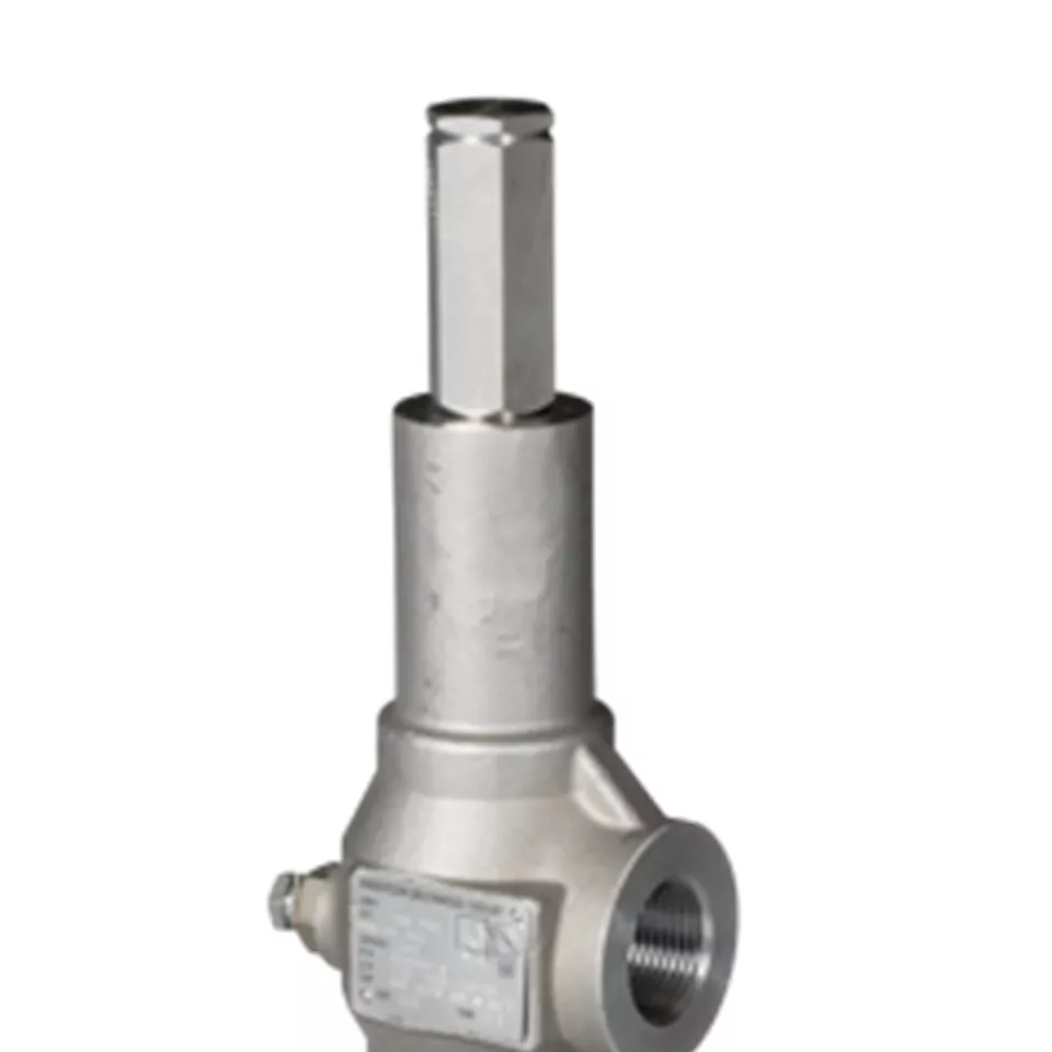 Anderson Greenwood 60/80 系列弹簧式泄压阀