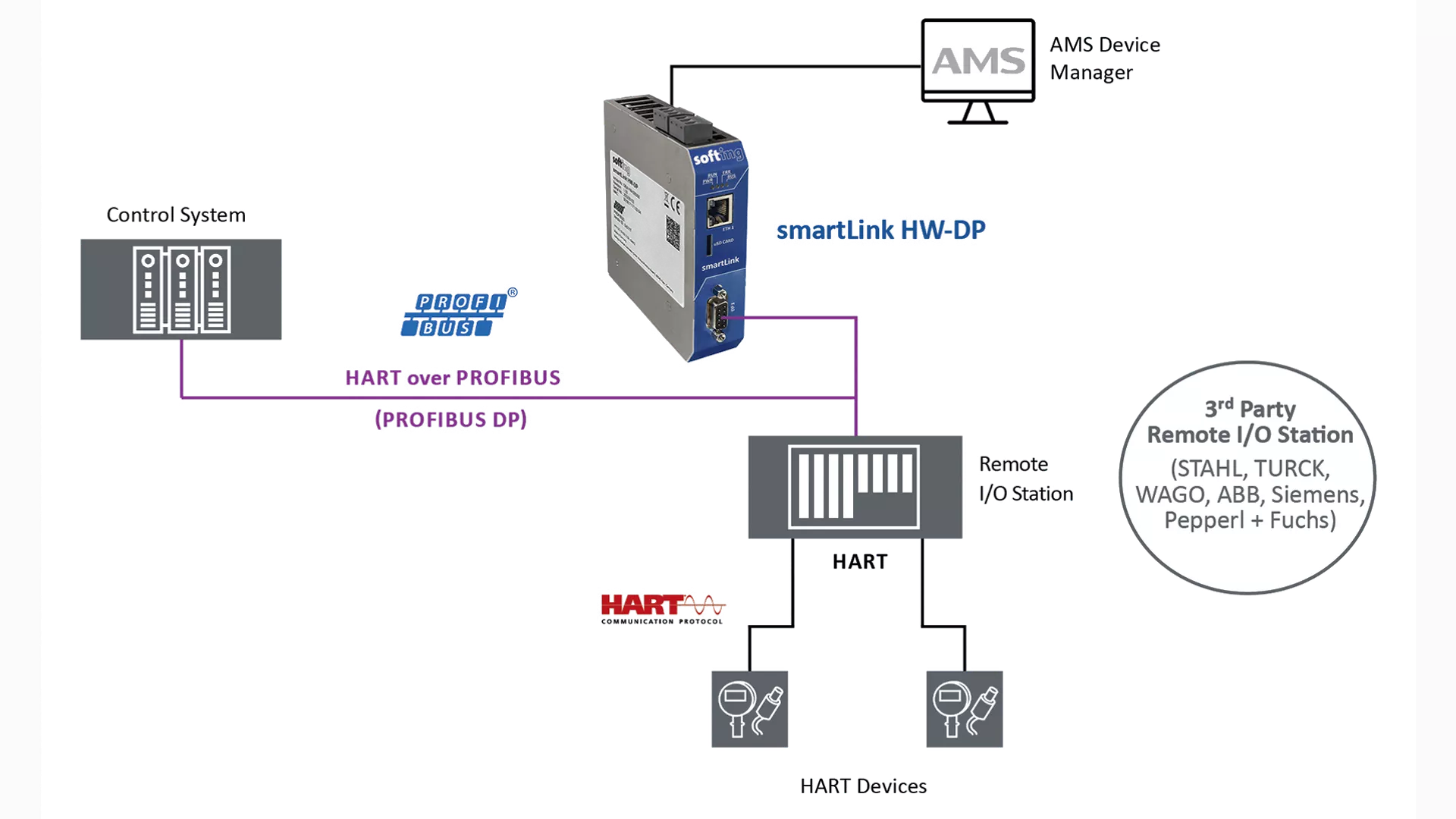 Online, continuous, hardware connectivity for AMS Device Manager and devices on PROFIBUS DP network