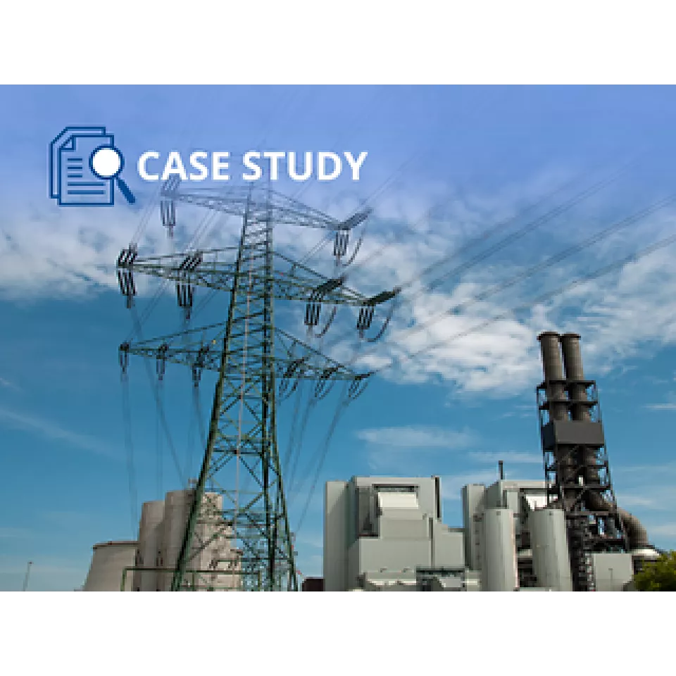 发电厂利用费希尔 OEM 零件解决阀门噪音问题，并提高设施安全性