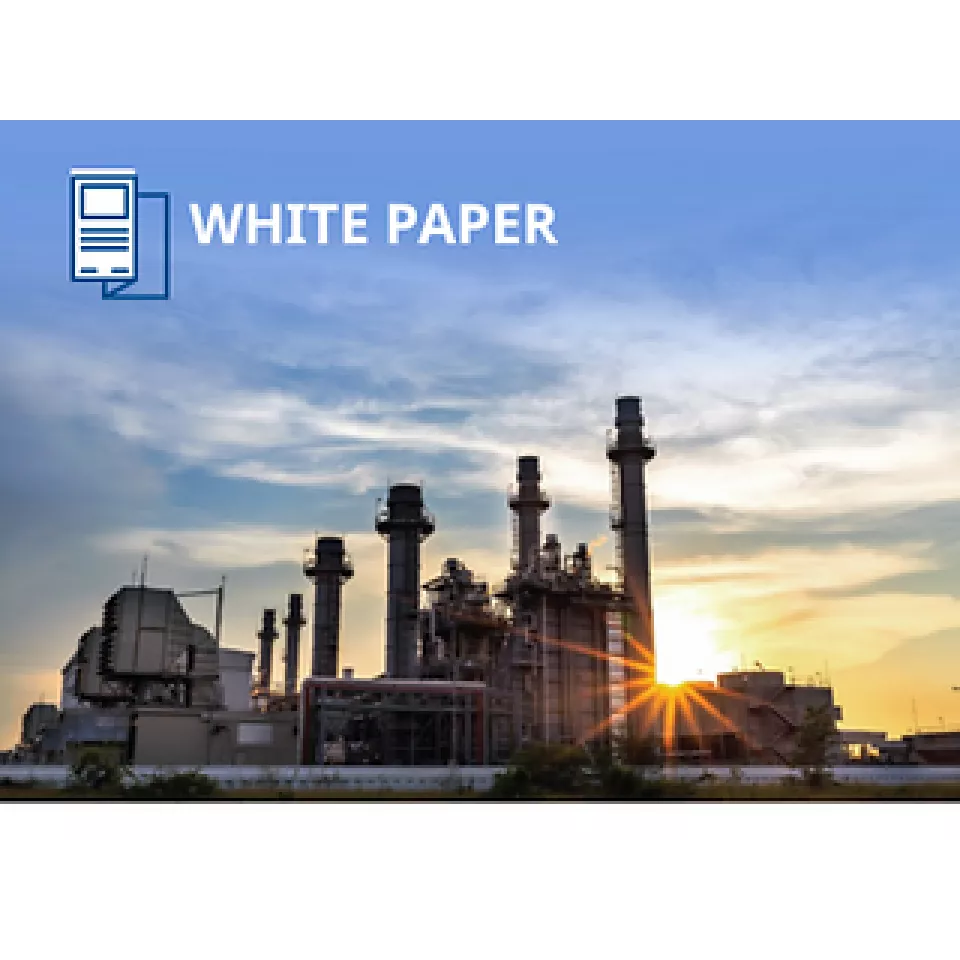 燃气发电厂进料应用中的调压器