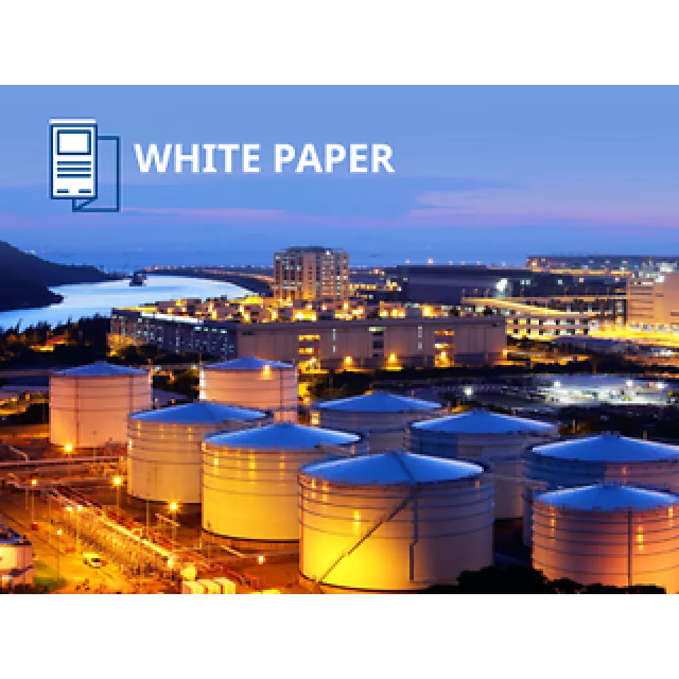 燃气发电厂的燃气供应系统