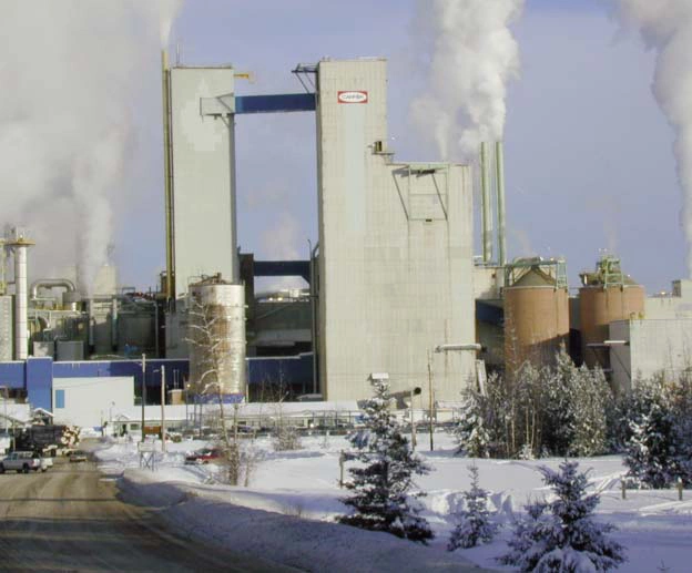 Canfor 使用 DeltaV 系统高级控制功能，来加强对石灰窑的控制并降低石灰窑的运营成本