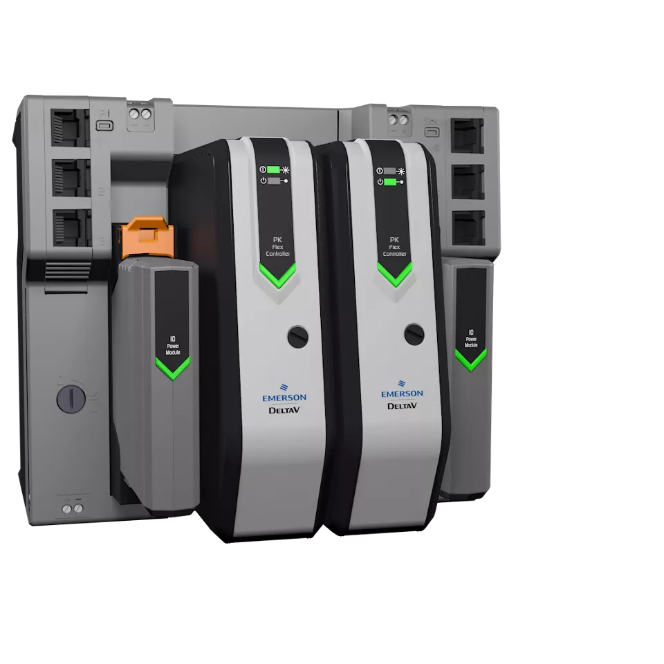 DeltaV PK Flex 控制器