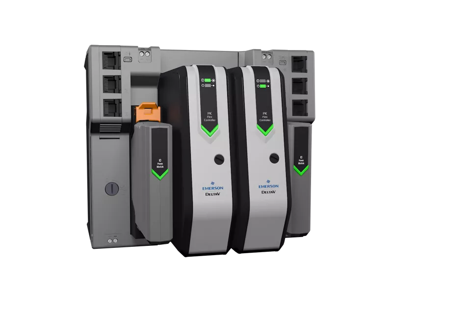 DeltaV PK Flex 控制器