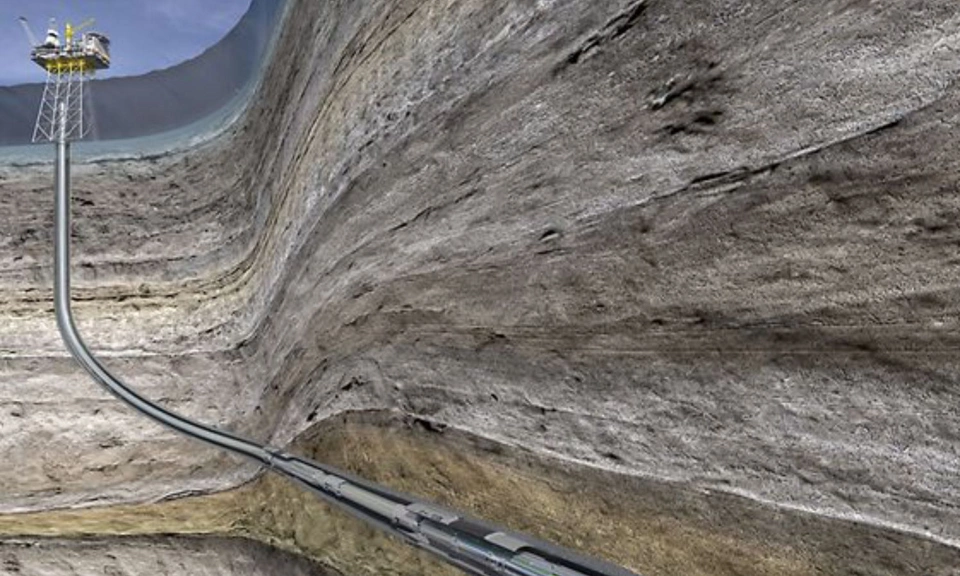 Downhole Monitoring and Control - Connection to Multiple Downhole Instruments