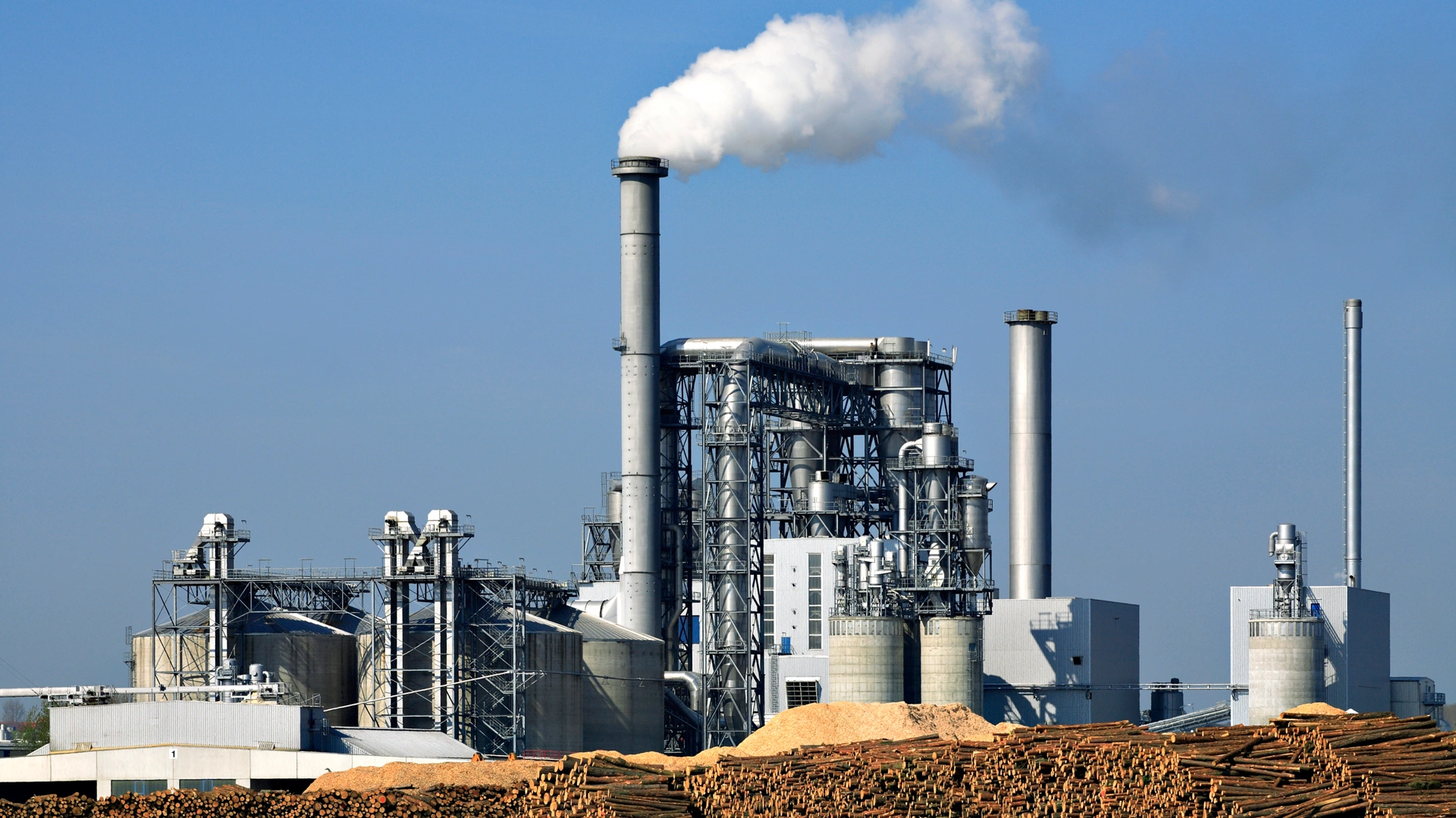 Piles of wood in front of paper factory
