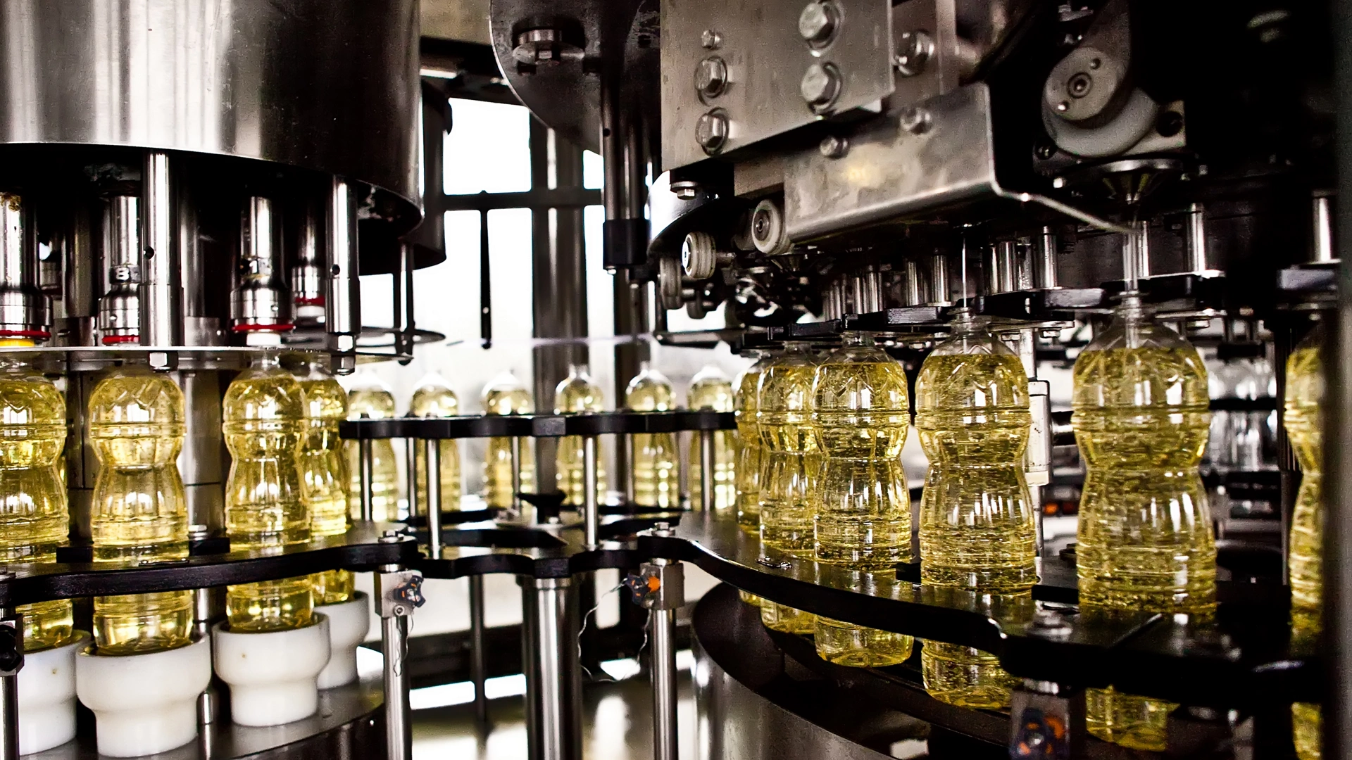 Sunflower oil in the bottle moving on production line. Shallow dof.