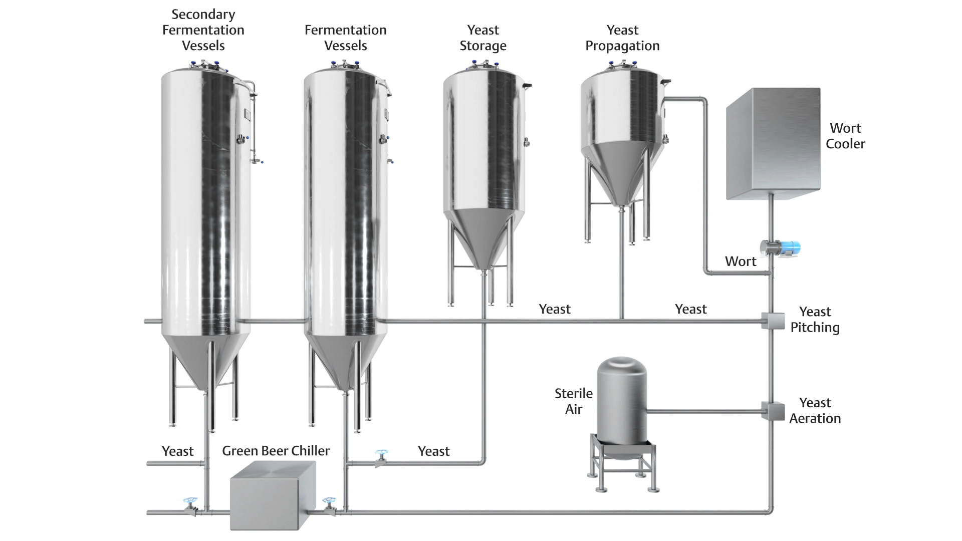 Fermentation