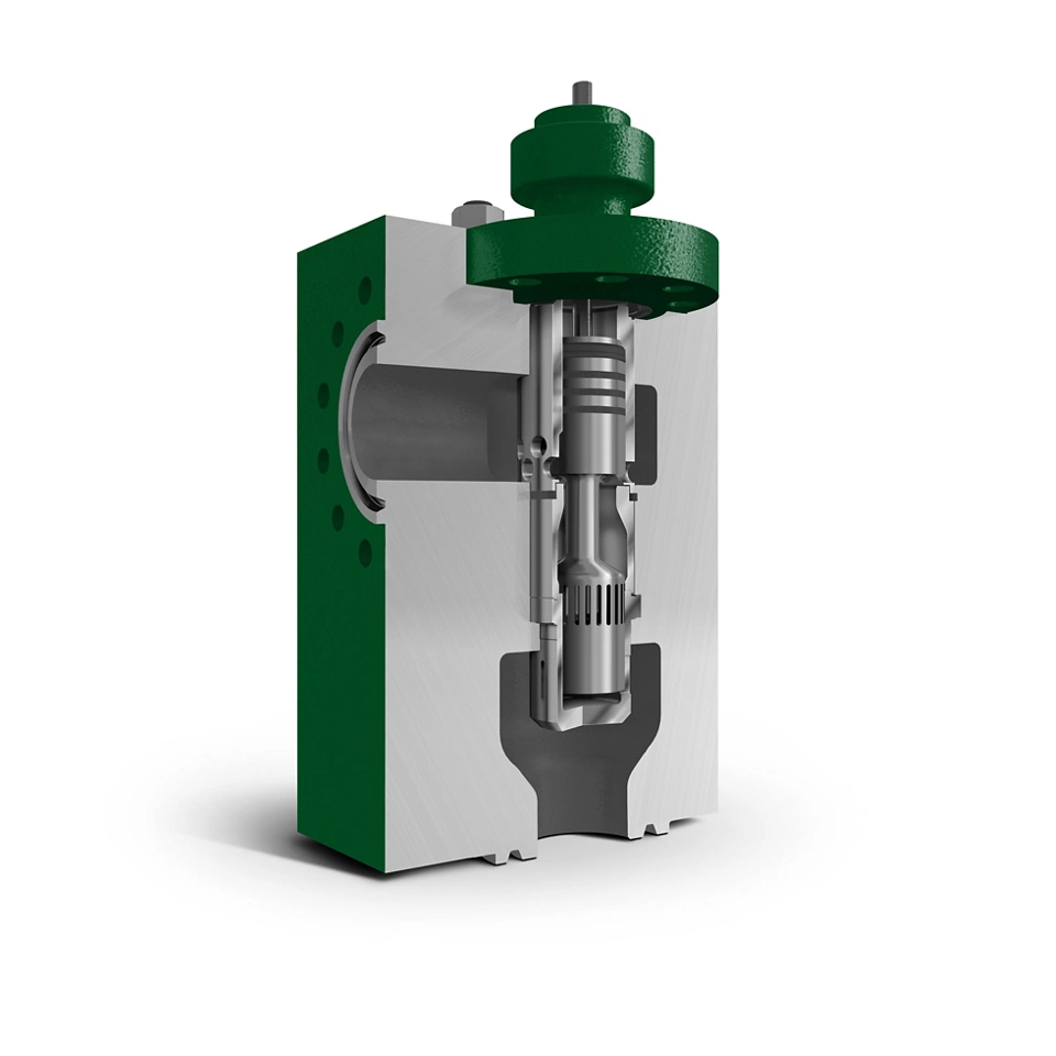 费希尔™（Fisher™）DST-G 阀内件