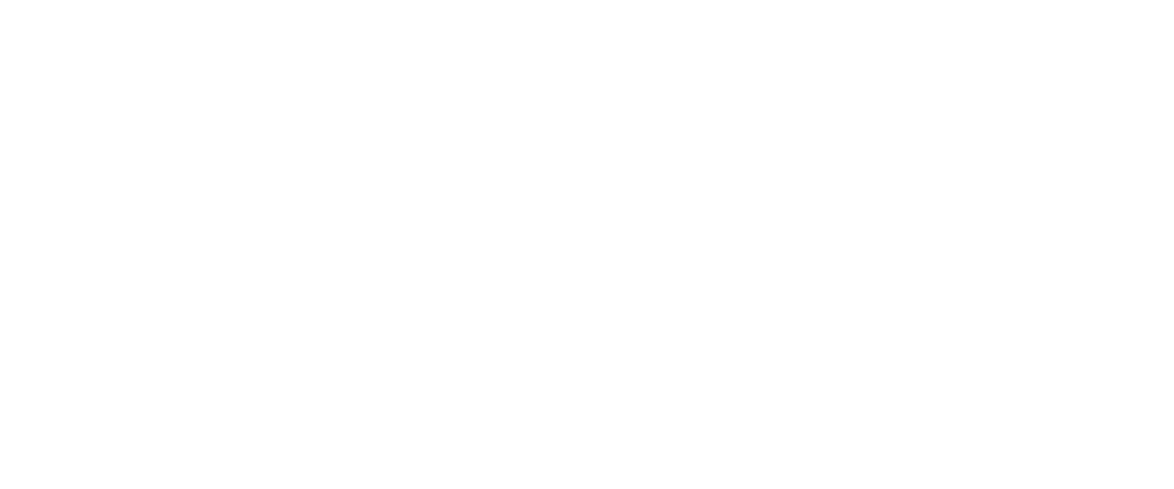 flexim-12