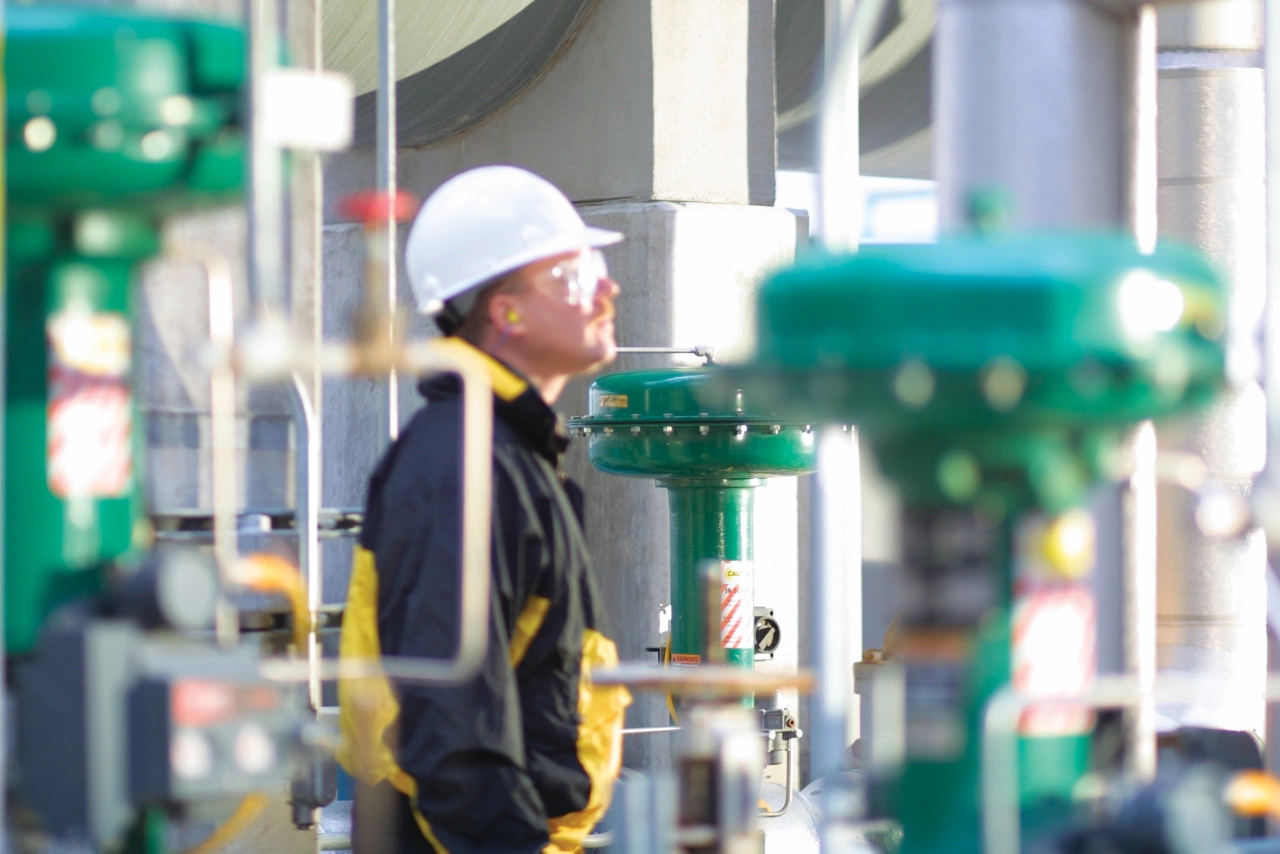 全生命周期策略