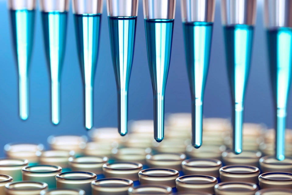 探索小批量市场