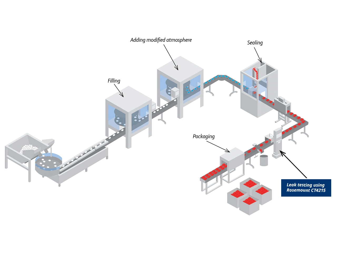 Modified Atmosphere Packaging Leak Detection