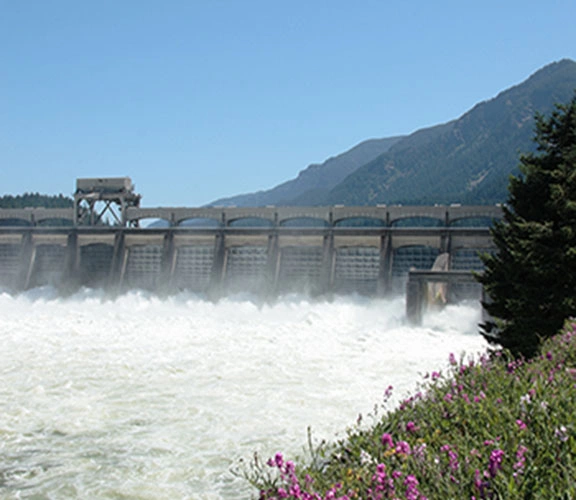 Hydro Plant Controls