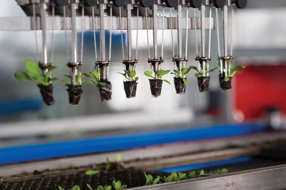 自动化如何帮助组织实现可持续性目标