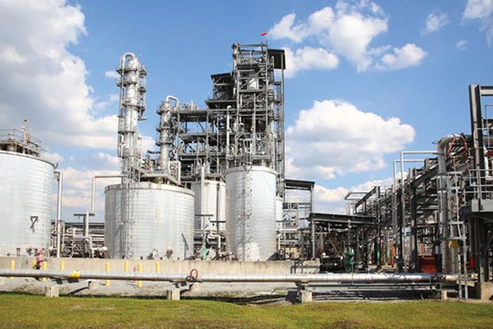 优化松树甾醇流程，满足生产要求