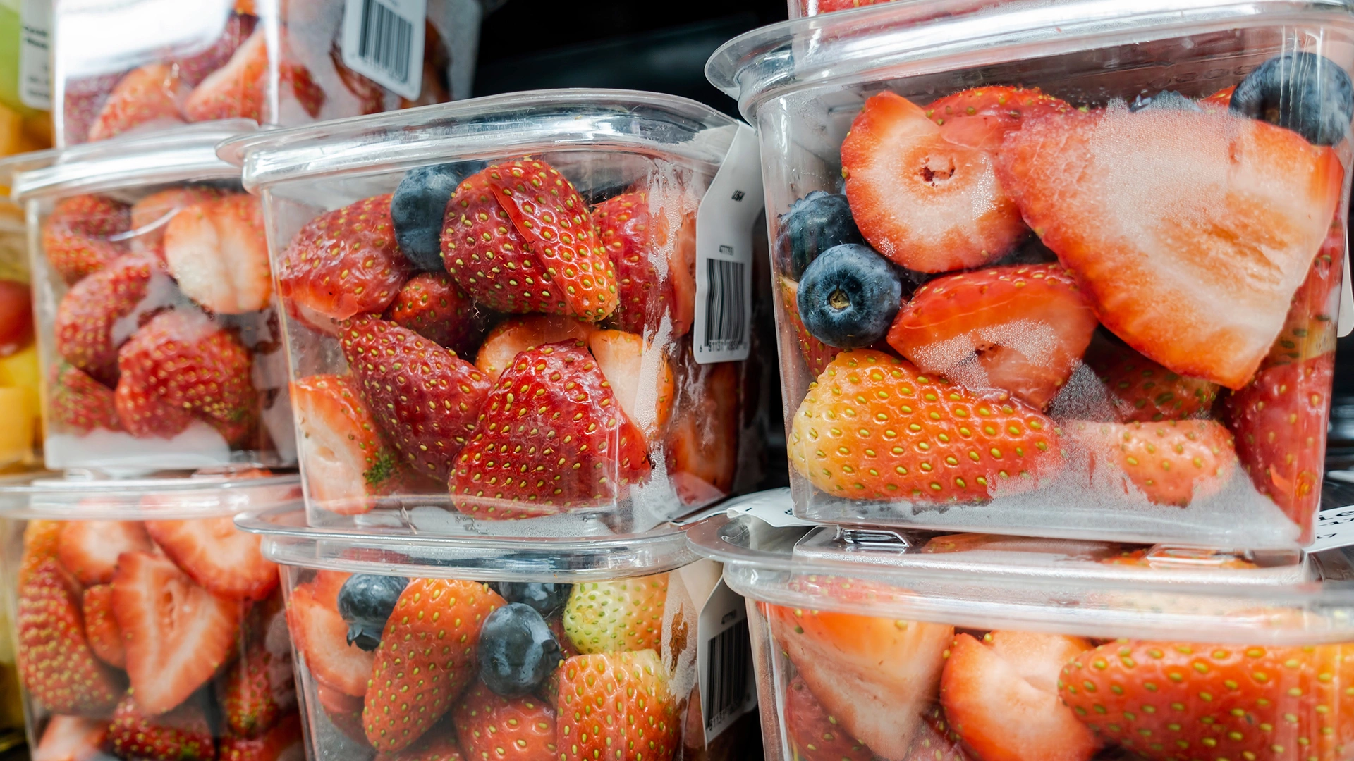 Plastics Recycling: Innovation and Automation Enable a Circular Economy