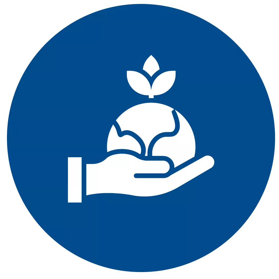 可持续发展解决方案