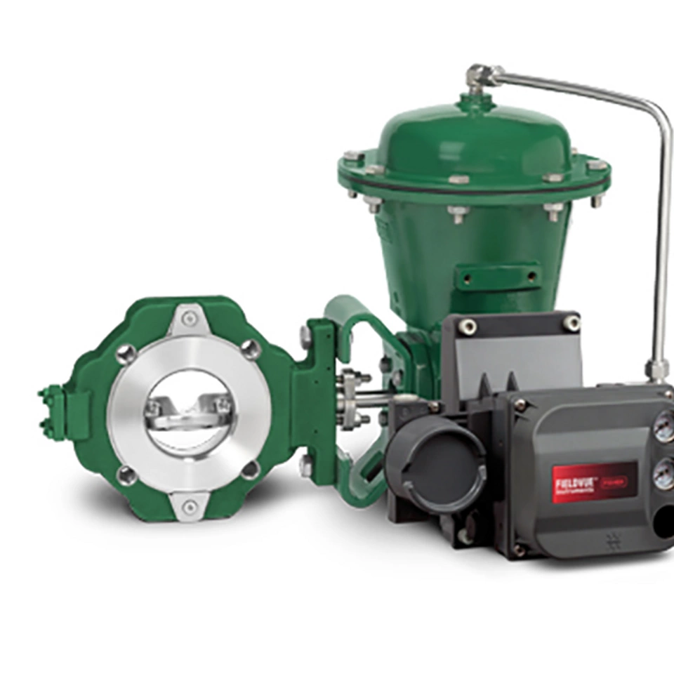 费希尔™（Fisher™）8580 高性能蝶阀