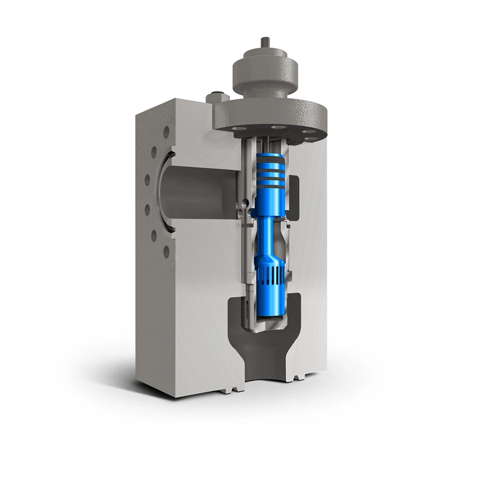  费希尔™（Fisher™）DST-G 阀内件