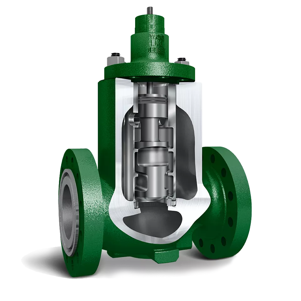 费希尔™（Fisher™）NotchFlo™ DST 调节阀