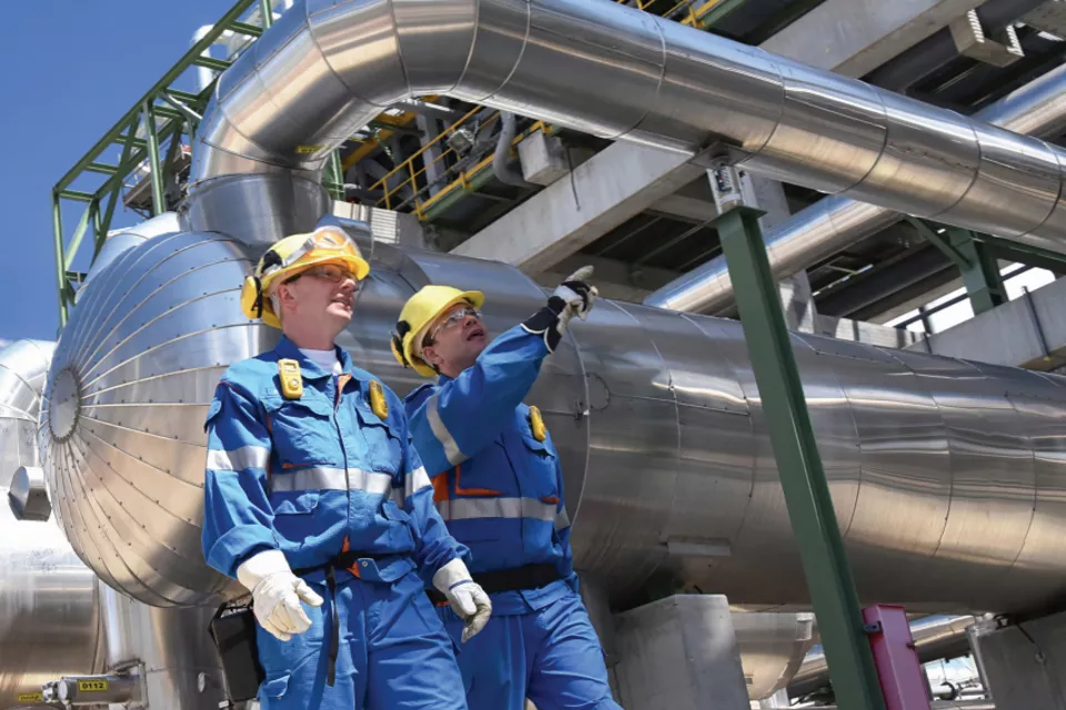 Bettis 执行解决方案组合