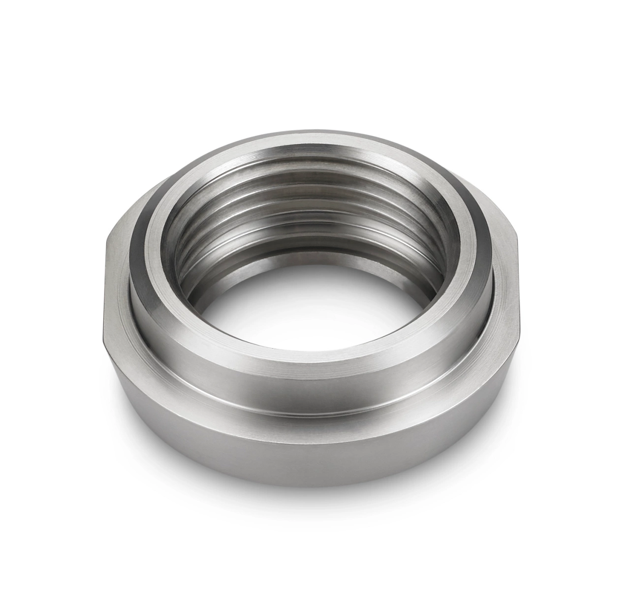 rosemount-spare-part-hygienic-din11851