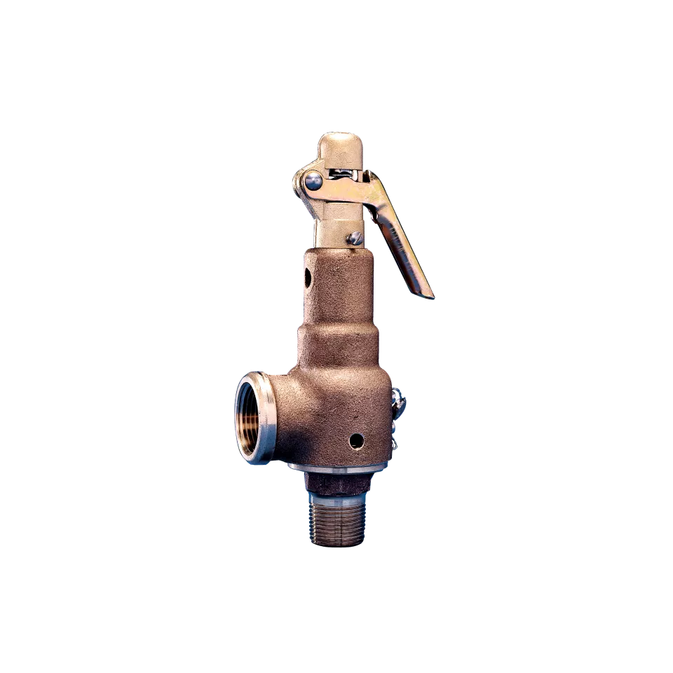 6000 系列安全阀