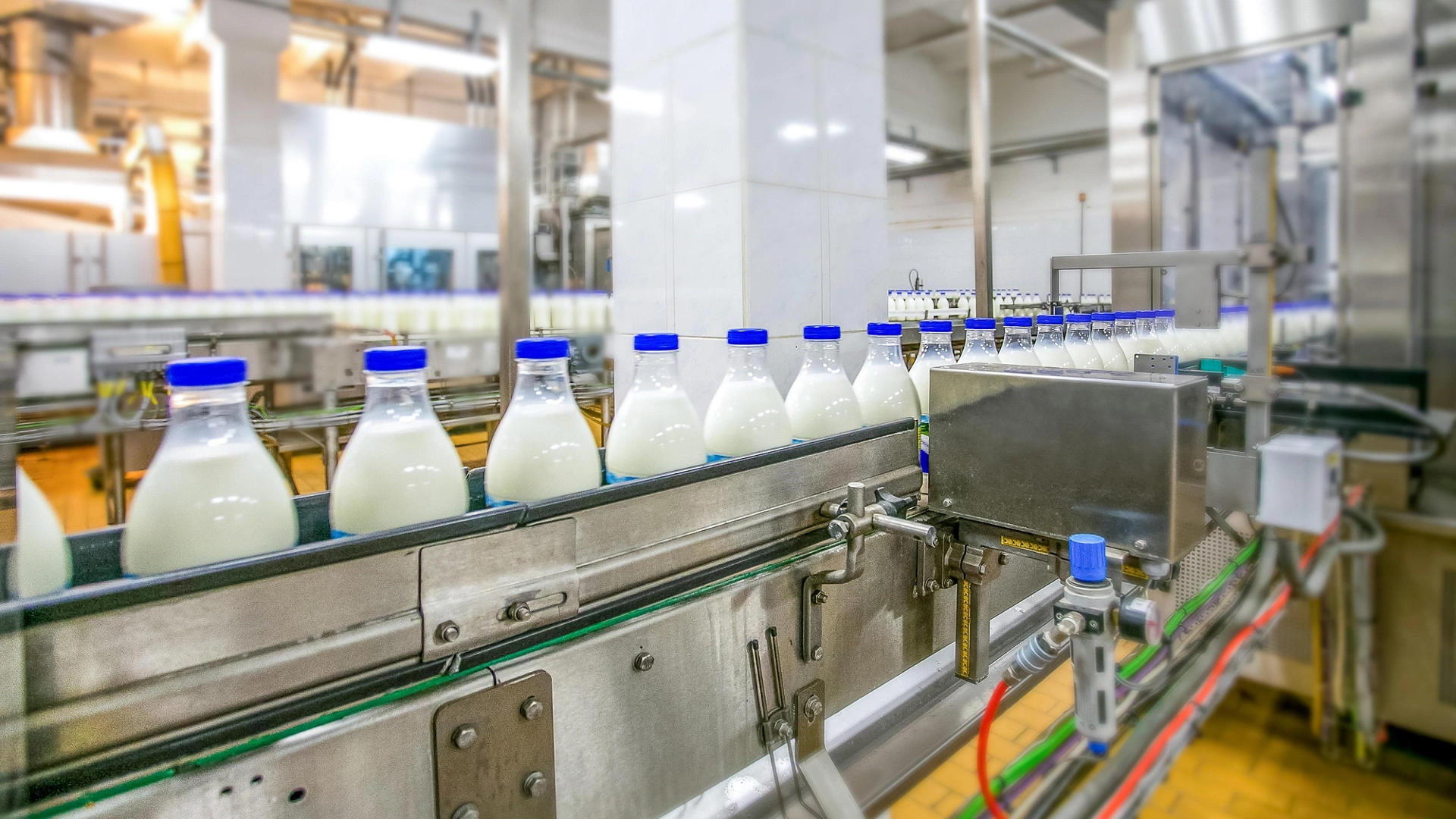 Milk production at factory