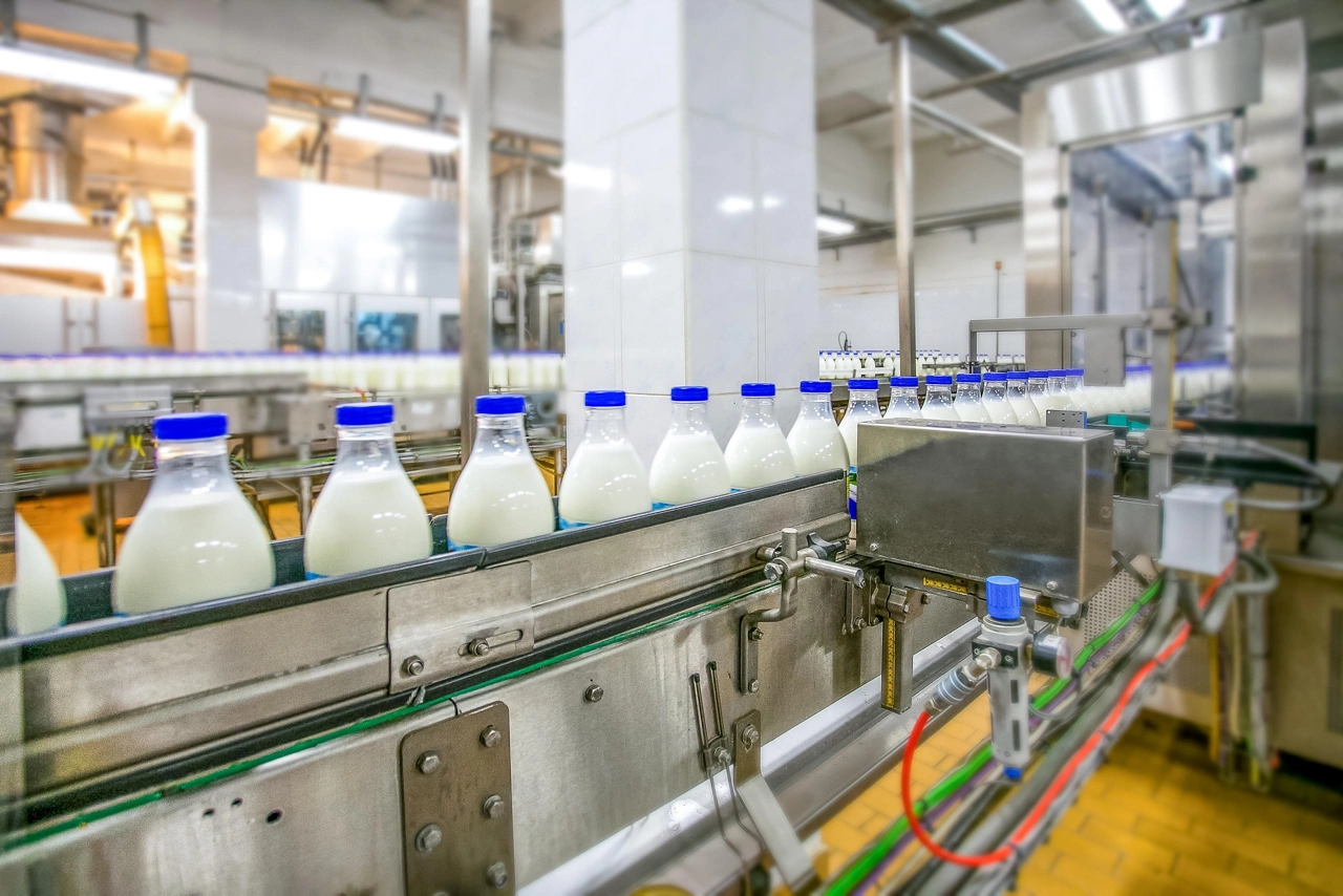 Milk production at factory