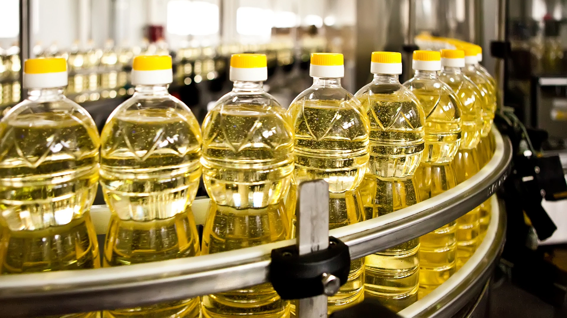 Sunflower oil in the bottle moving on production line. Shallow dof.