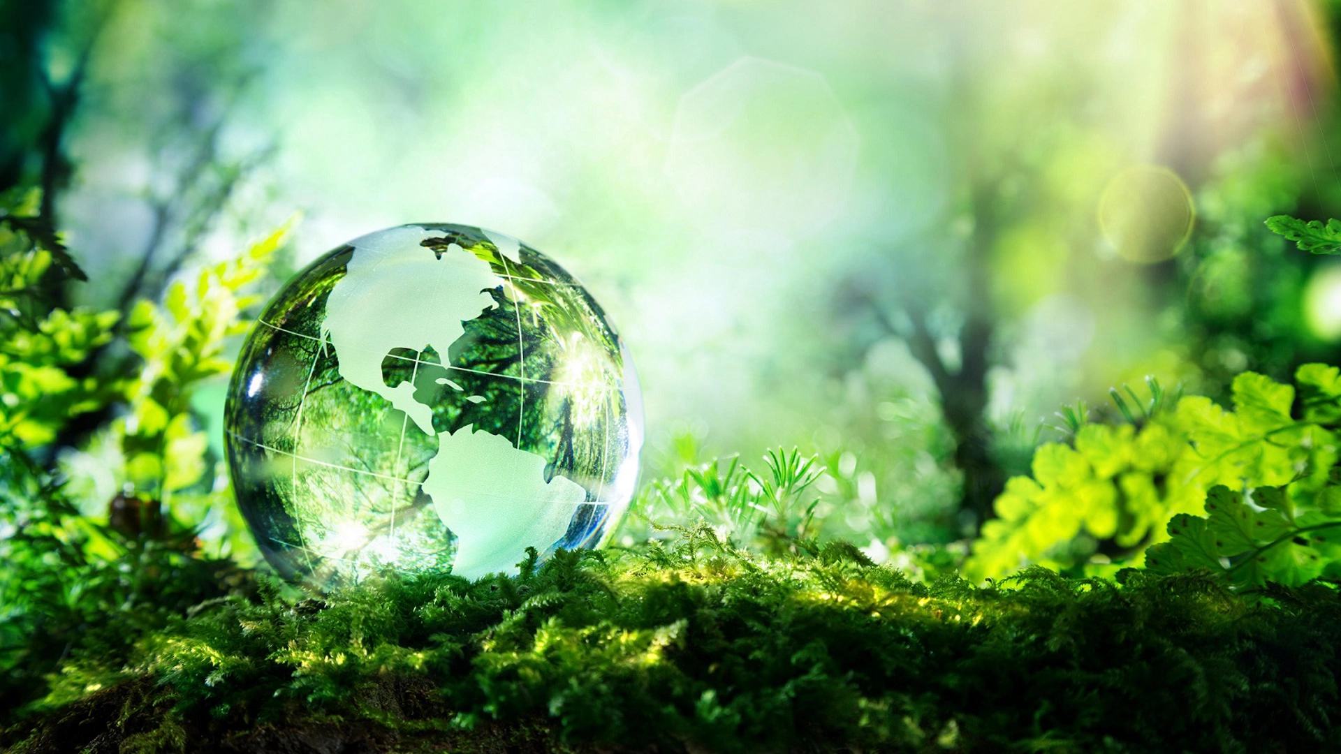 crystal globe resting on moss in a forest - environment concept