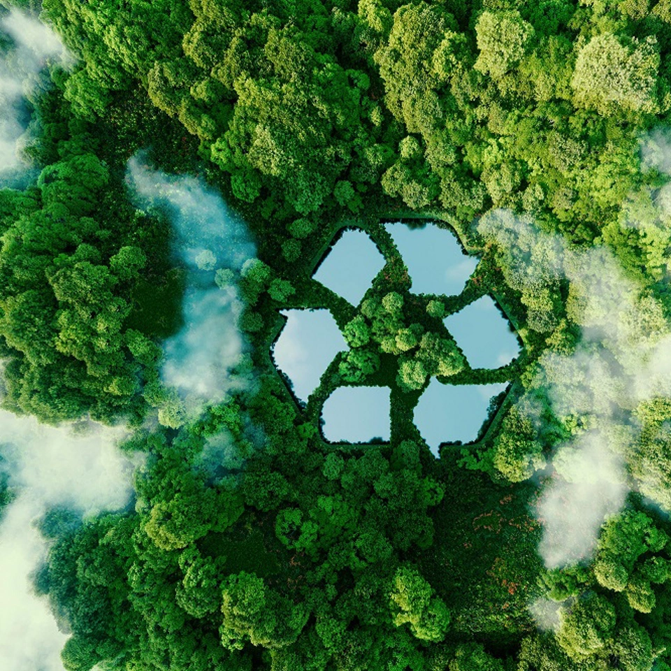 船用替代燃料的液位测量