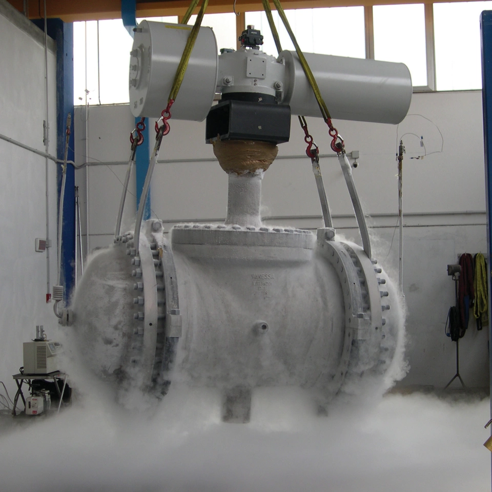 低温液化天然气 (LNG) 应用顶部入口案例