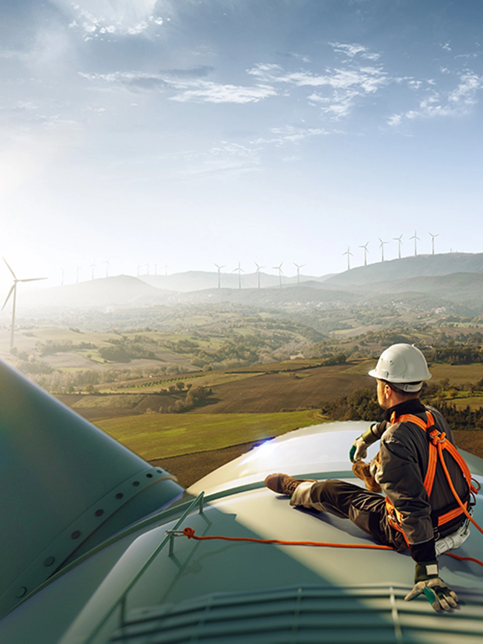 wind turbine pitch control expert