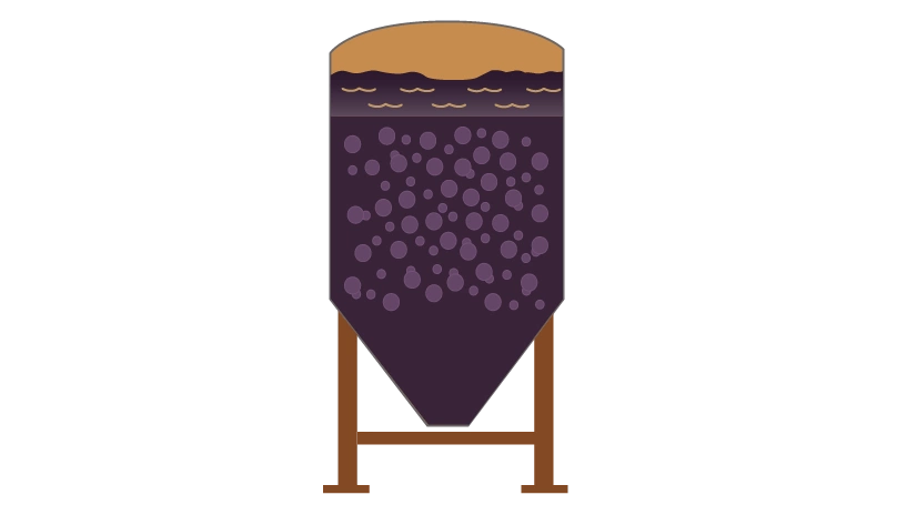 Measurement Instrumentation for Fermentation in Winemaking